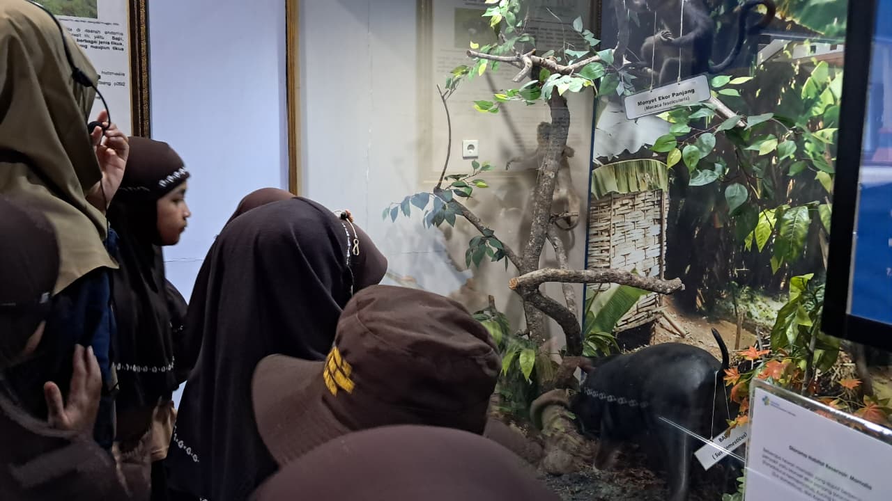 Mengenal Hewan Pembawa Penyakit di Museum Duver Mengenal Hewan Pembawa Penyakit di Museum Duver