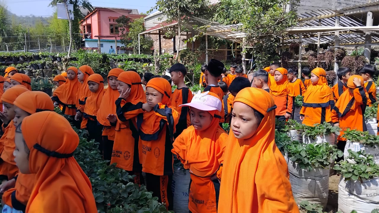 Belajar dengan Pengalaman Nyata, Tumbuhkan Rasa Ingin Tahu